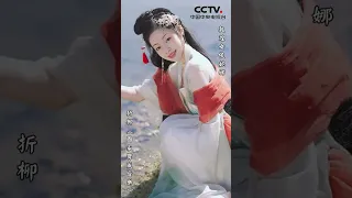 ( Mobile phone screen ) The Dunhuang Assassin Nina 敦煌女俠妮娜 &  折柳《國家寶藏音樂》( 仿CCTV電視台MV )