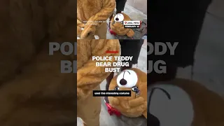 Police teddy bear drug bust