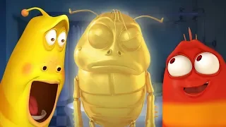 LARVA - BROWN'S BATH | Cartoon Movie | Cartoons | Comics | Larva Cartoon | LARVA Official