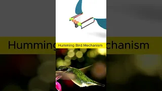 Mechanical Hummingbird 🐦#cad #solidworks #fusion360 #mechanical #engineering #mechanism #birds