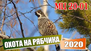 Охота на рябчика.  МЦ 20-01.  Открытие осенней охоты 2020. Собираю грибы.