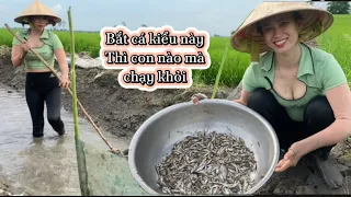 Bẫy cá kiểu mới bắt như này thì con nào mà chạy thoát được dính một thao to chiên #thanhgiangvlog