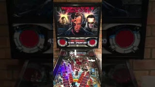 Terminator 2 Pinball Restoration