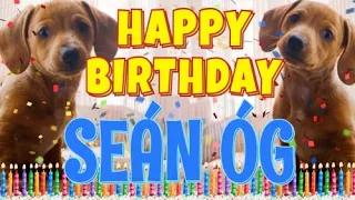 Happy Birthday Seán Óg! ( Funny Talking Dogs ) What Is Free On My Birthday