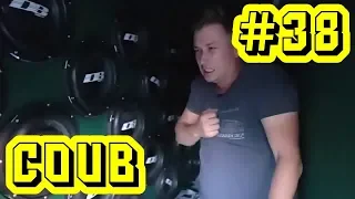 Best Cube #38 | Best Coub | Сборник кубов | Auto & Technique