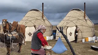 Nomadic life in remote mountains! Making Natural dairy product