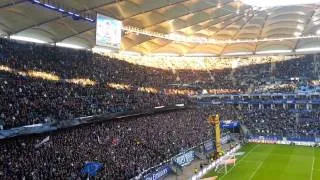 24.11.13 Hamburger Sv : Hanover 96