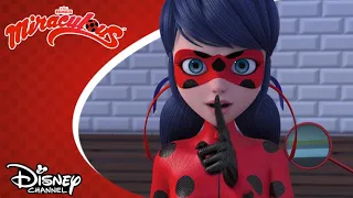 🐝 Új méhkirálynő | Miraculous | Disney Csatorna