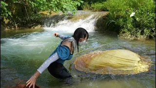 😱😱Unbelievable discovery‼️The girl caught a mutated golden clam with a golden treasure inside🔥🔥