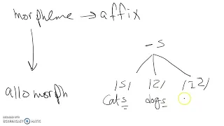 phoneme, morpheme, allophone, allomorph