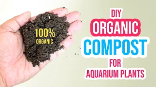 Step-by-Step Tutorial: Making Organic Compost for Aquarium Plants