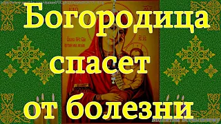 Пресвятая Богородица спасет от всякой болезни и беды. Молитва пред иконой Утоли моя печали