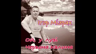 Ігор Мізрах. Ой у лузі червона калина