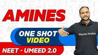 AMINES in 1 Shot - All Theory & PYQs | NEET Crash Course | UMEED 2.0