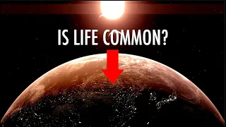 New Origin of Life Research Shows Alien Life may be Common with Dr. Steven Benner