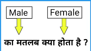 male female ka matlab kya hota hai