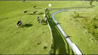 Summer Toboggan Run | Tiroler Zugspitz Arena