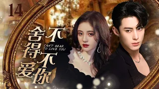 MUTLISUB【舍不得不爱你/I Can't Bear To Love You】▶EP 14｜家道中落的千金小姐婚礼上被未婚夫放鸽子，寻夫路上竟偶然邂逅真命天子#鞠婧祎#王鹤棣❤️丸子甜剧社