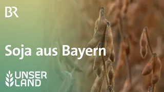 Soja aus Bayern | Unser Land | - BR Fernsehen