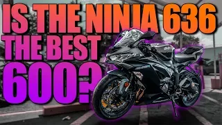 IS THE NINJA 636 the BEST 600cc SPORT BIKE AVAILABLE!?
