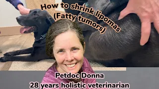 How to Shrink Lipomas in Dogs using holistic treatments, such as diet, herbs, acupuncture