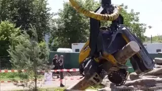 Ponsse Ergo Harvester - Vorführung der  Holzerntemaschine