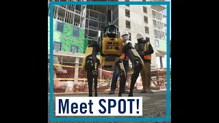 Meet SPOT! | U of T Scarborough (UTSC)