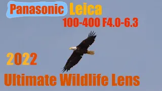 2022 Ultimate Wildlife Lens? - Panasonic Leica 100-400 F4.0-6.3