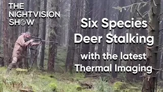 Six Species Deer Stalking - with the latest thermal from HikMicro and Pulsar