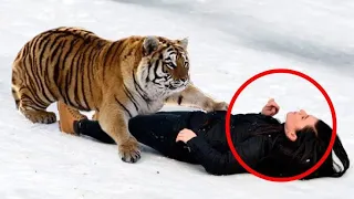 Woman Saved A Tiger Cub And Raised Him As Own Kid, But One Day Morning Something Incredible Happens!