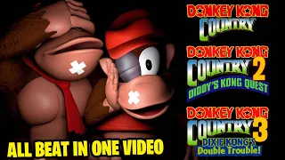 I Beat the ENTIRE Donkey Kong Country Trilogy (SNES GAMES)