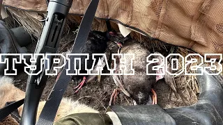 ОХОТА НА ТУРПАНА «АНДЫ» HUNTING FOR A MELANITTA 2023 #булт #байанай #анды