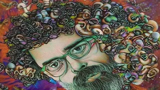 Terence McKenna - Enduring Legacy of Ancient Literatures