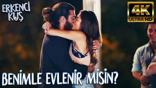 Beni Hiç Unutmazsan Olur😂 (4K ULTRA HD) | Erkenci Kuş