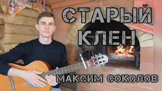 Максим Соколов - песня СТАРЫЙ КЛЁН