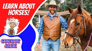 Learn about Horses | Cowboy Jack | Educational Videos for Kids