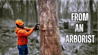 Safest Way To Cut Down A Tree