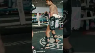 Muay Thai pads at Phuket Top Team With Bastian Angulo & Kru Nueng