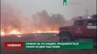 Пожары в Луганской области: продолжается тление лесной подстилки