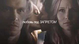 klaus & caroline  | любовь под запретом