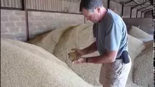 Barley Harvest (DOTF Series 2 Ep1)