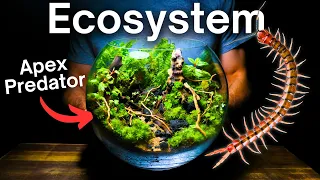 I Made an Ecosystem For Predators & Prey, Here’s How!