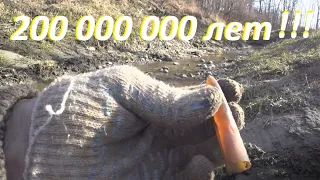 Я в ШОКЕ!!! Выкопал ПЯТЬ НАХОДОК по 200 000 000 лет, ЗОЛОТО,СЕРЕБРО!