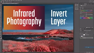 Invert Layer method for editing color Infrared image in Photoshop and Lightroom