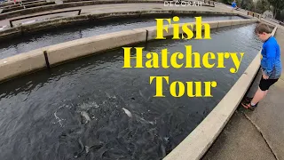 Tour of the Decorah Trout Hatchery.