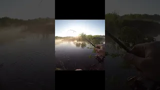 Ловимо щуку на ультралайт. Дивовижний краєвид з ранку на річці Ірпінь. This is not Eurovision