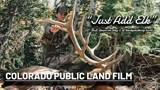 Just Add Elk | Colorado Public Land Bull Down on Day 5 of Backpacking Hunt