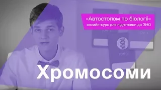 Хромосоми – Підготовка до ЗНО – Біологія