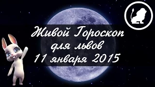 Гороскоп Лев ♌ на 11 января от Зайки Zoobe