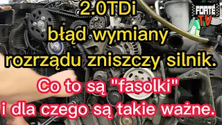 2.0TDi błąd wymiany rozrządu zniszczy silnik. Co to są "fasolki" i dla czego są takie ważne.